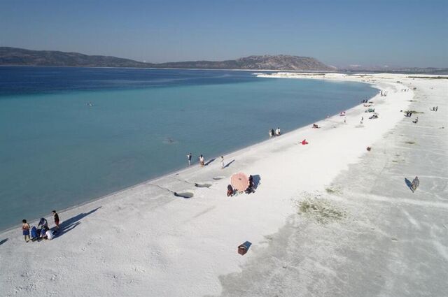 Mis Kokulu Tur..LAVANTA TARLALARI
