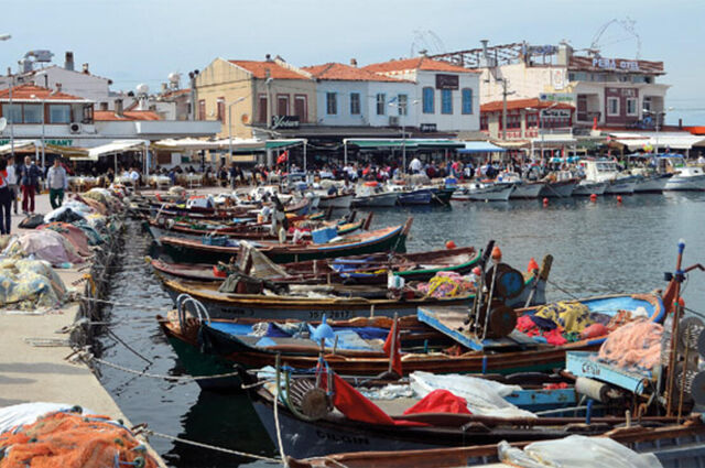 Nergis Çiçeği