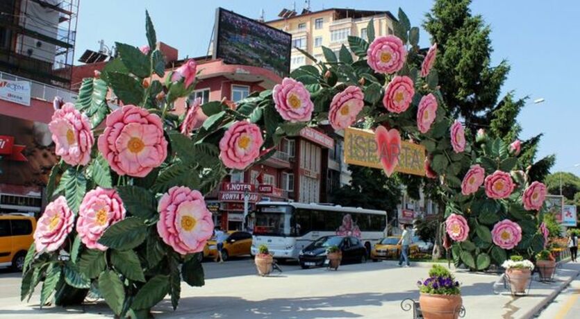 Isparta Gül Hasadı