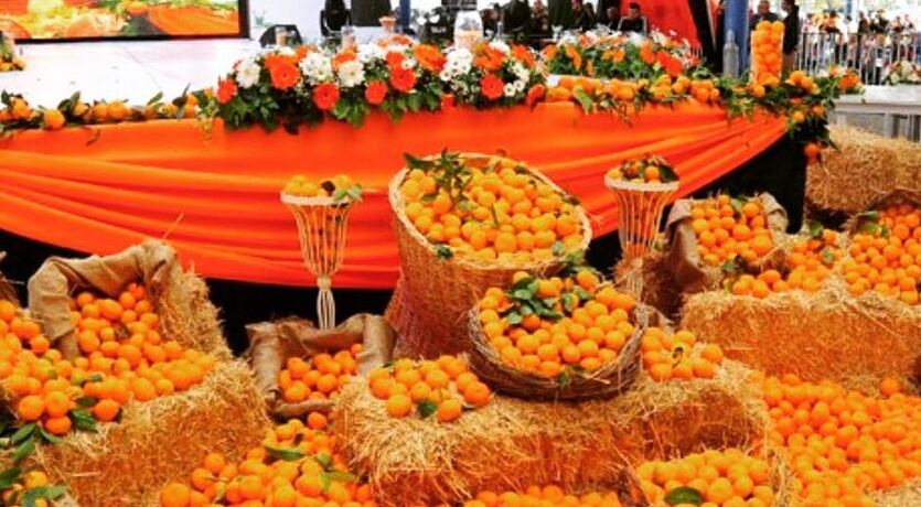 Adana Portakal Çiçeği Festivali ve Gaziantep-Tarsus Turu
