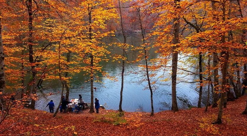 Sonbahar Yedigöller ( 1 gece Bolu konaklamalı ) 