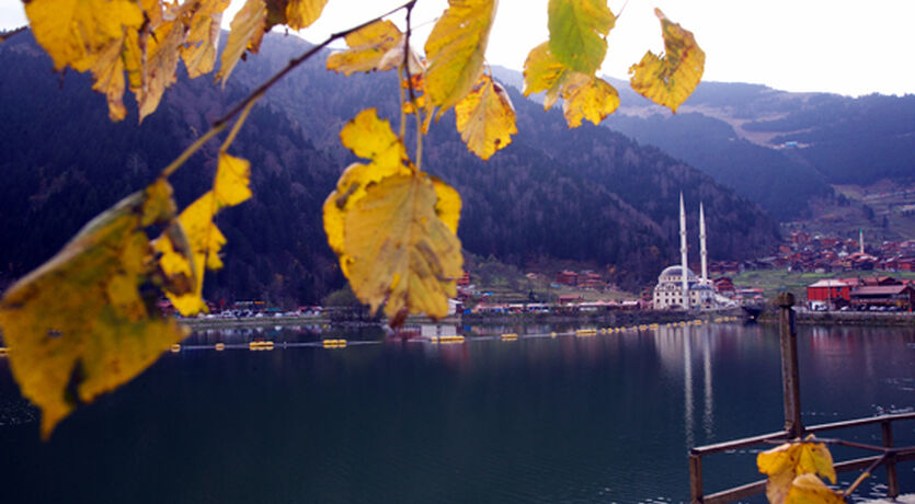 Ara Tatil ... Batum - Uzungöl - Ayder