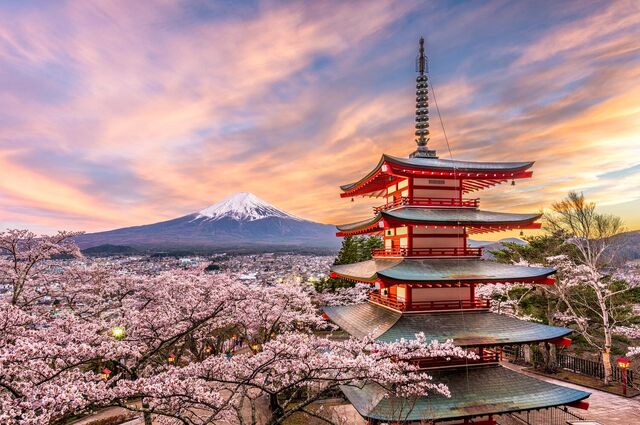 Japonya 